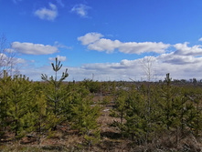 IMG 20200321 120104.jpg