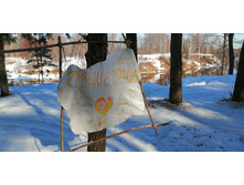 IMG 20200301 120713.jpg