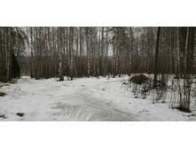 IMG 20200308 105935.jpg