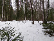 IMG 20200307 114520.jpg