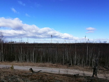 IMG 20200321 103336.jpg