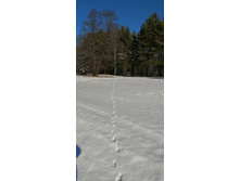 IMG 20200301 103011.jpg