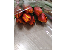 IMG 20200305 191247 1.jpg