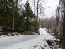 IMG 20200308 104507.jpg