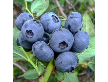 �������� ���� ������� �2  322�