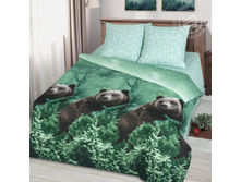 ���� ������ ���� 220 �� ������+���������