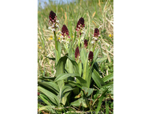 �������� ����֣����̆.jpg