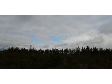 IMG 20200314 120302.jpg