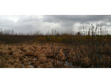 IMG 20200314 120959.jpg