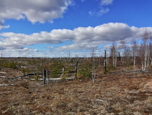 IMG 20200321 113640.jpg