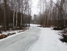 IMG 20200308 104917.jpg