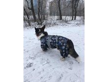 ����������� viber 2020-03-15 14-42-07.jpg