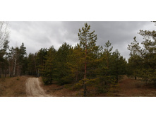 IMG 20200314 114846.jpg