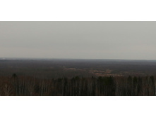 IMG 20200307 122142.jpg