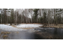 IMG 20200321 094504.jpg