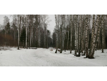 IMG 20200308 111753.jpg