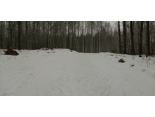 IMG 20200308 103014.jpg