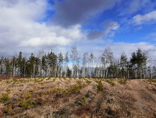 IMG 20200314 122509.jpg