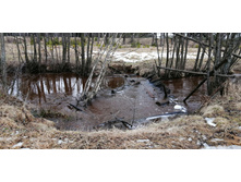 IMG 20200309 114314.jpg