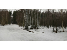 IMG 20200308 101811.jpg