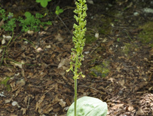 ������ ����������̆.jpg