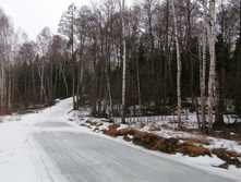 IMG 20200308 104856.jpg