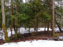 IMG 20200308 103823.jpg