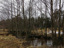 IMG 20200309 112941.jpg