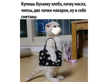 ... �� � ���� ������� ���� ...