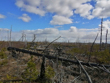 IMG 20200321 115002.jpg