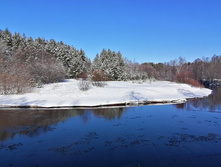 IMG 20200301 101313.jpg