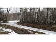 IMG 20200308 102025.jpg