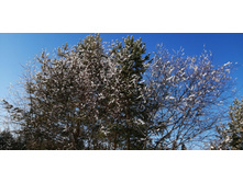 IMG 20200301 103311.jpg