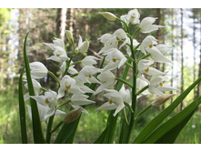 �������������� �������������̆.jpg