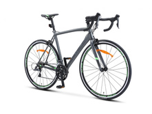 Xt300 28 v010 gray-green 2.1875x1300.jpg