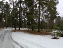 IMG 20200309 104350.jpg