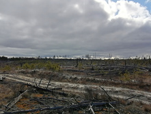 IMG 20200321 103327.jpg