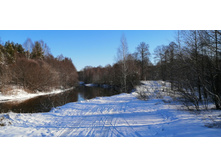 IMG 20200301 100257.jpg