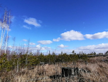 IMG 20200321 115649.jpg