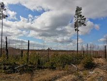 IMG 20200321 111907.jpg