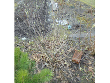 �������� 14 �����