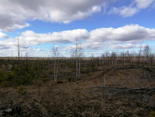 IMG 20200321 113411.jpg