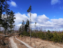 IMG 20200321 103937.jpg