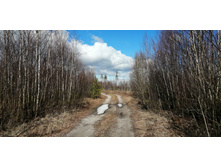 IMG 20200321 104351.jpg