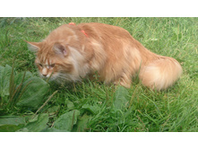 � ��� ��� ����� ����������?