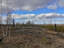 IMG 20200321 113149.jpg