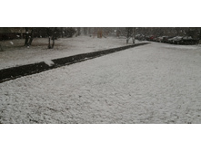 IMG 20200315 113347.jpg