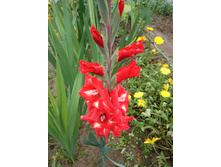 IMG 20190817 130422.jpg