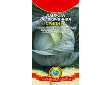 ������� �/� ����� F1, 11,60+��� ����
