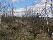 IMG 20200321 112107.jpg